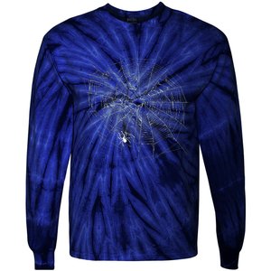 Entomologist Gift Idea Cobweb Spider Tie-Dye Long Sleeve Shirt