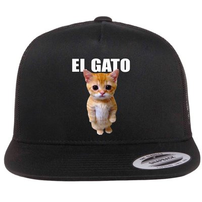El Gato Meme Sad Crying Cat Munchkin Kitty Meme Trendy Flatbill Hat