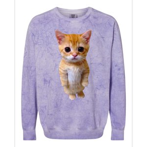 El Gato Meme Sad Crying Cat Munchkin Kitty Meme Trendy Colorblast Crewneck Sweatshirt