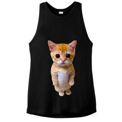 El Gato Meme Sad Crying Cat Munchkin Kitty Meme Trendy Ladies PosiCharge Tri-Blend Wicking Tank