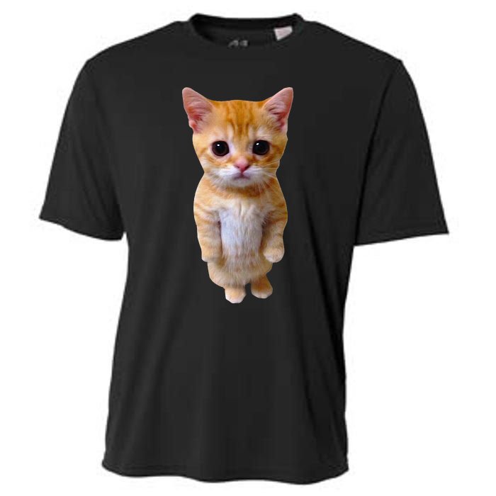 El Gato Meme Sad Crying Cat Munchkin Kitty Meme Trendy Cooling Performance Crew T-Shirt