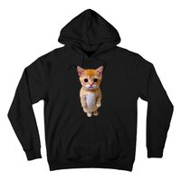 El Gato Meme Sad Crying Cat Munchkin Kitty Meme Trendy Hoodie