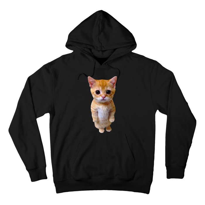 El Gato Meme Sad Crying Cat Munchkin Kitty Meme Trendy Hoodie