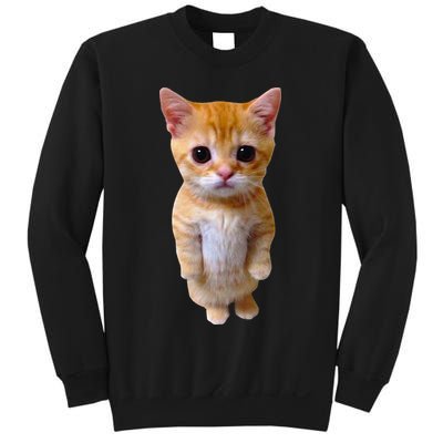 El Gato Meme Sad Crying Cat Munchkin Kitty Meme Trendy Sweatshirt