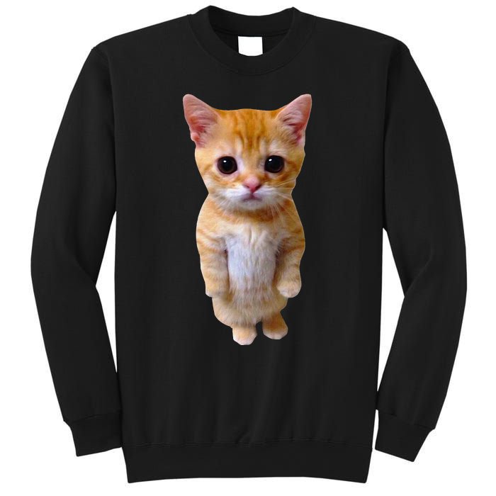 El Gato Meme Sad Crying Cat Munchkin Kitty Meme Trendy Sweatshirt