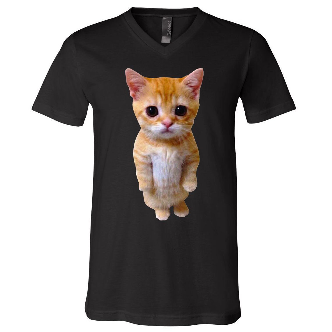 El Gato Meme Sad Crying Cat Munchkin Kitty Meme Trendy V-Neck T-Shirt
