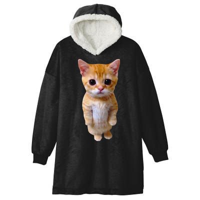 El Gato Meme Sad Crying Cat Munchkin Kitty Meme Trendy Hooded Wearable Blanket
