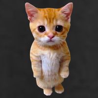 El Gato Meme Sad Crying Cat Munchkin Kitty Meme Trendy Adult Drive Performance Visor