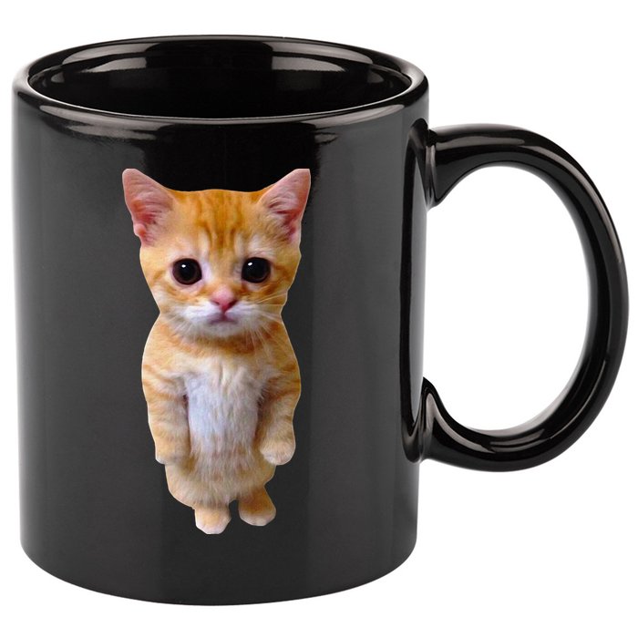 El Gato Meme Sad Crying Cat Munchkin Kitty Meme Trendy 11oz C Handle Ceramic Mug