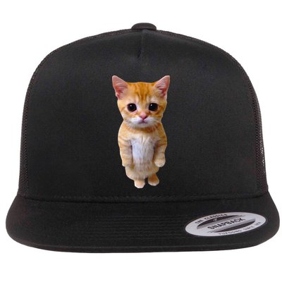 El Gato Meme Sad Crying Cat Munchkin Kitty Meme Trendy Flatbill Hat