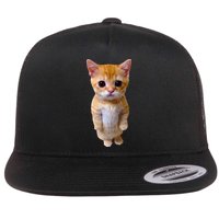 El Gato Meme Sad Crying Cat Munchkin Kitty Meme Trendy Flat Bill Trucker Hat