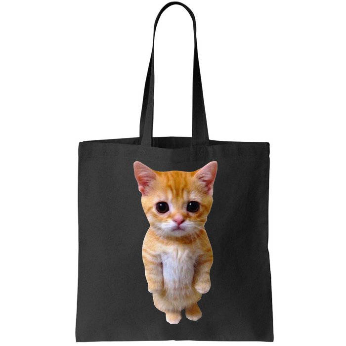El Gato Meme Sad Crying Cat Munchkin Kitty Meme Trendy Bag