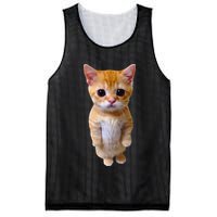 El Gato Meme Sad Crying Cat Munchkin Kitty Meme Trendy Mesh Reversible Basketball Jersey Tank