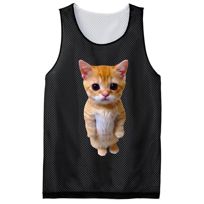 El Gato Meme Sad Crying Cat Munchkin Kitty Meme Trendy Mesh Reversible Basketball Jersey Tank