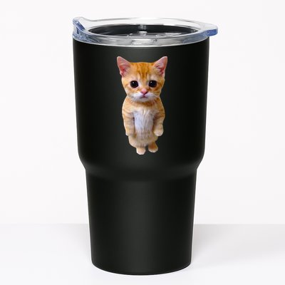 El Gato Meme Sad Crying Cat Munchkin Kitty Meme Trendy Tumbler