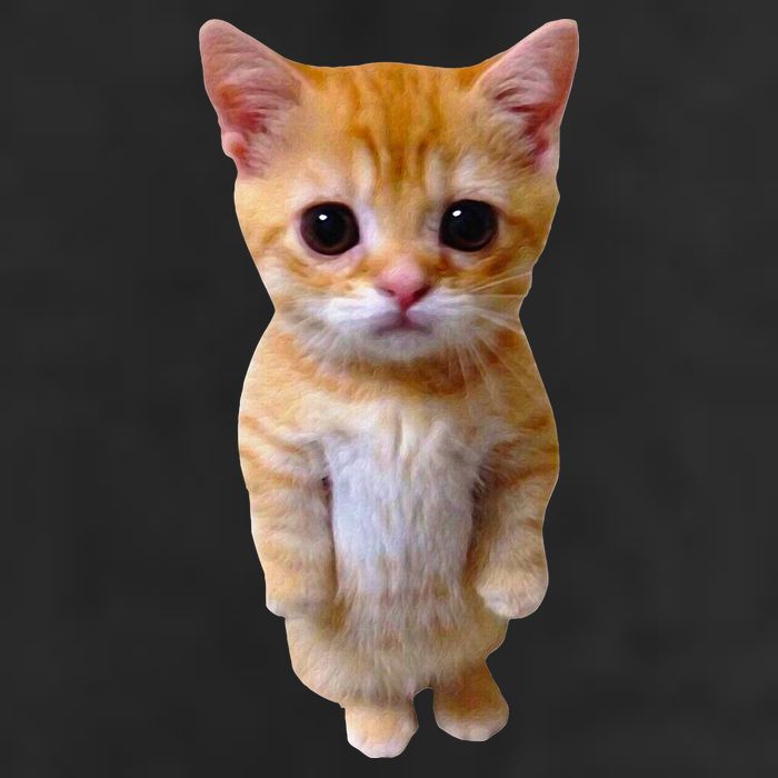 El Gato Meme Sad Crying Cat Munchkin Kitty Meme Trendy Large Microfiber Waffle Golf Towel
