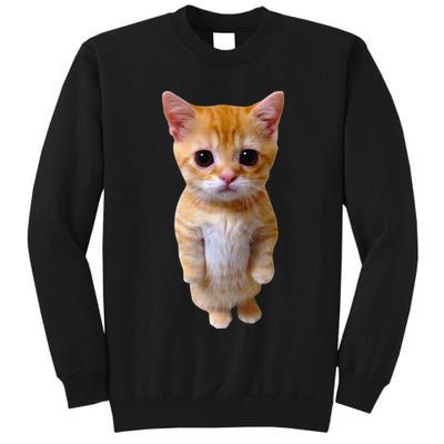 El Gato Meme Sad Crying Cat Munchkin Kitty Meme Trendy Tall Sweatshirt