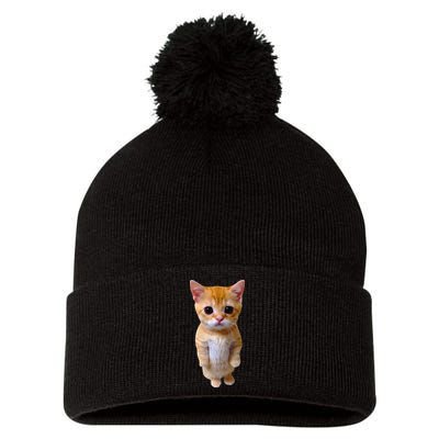 El Gato Meme Sad Crying Cat Munchkin Kitty Meme Trendy Pom Pom 12in Knit Beanie