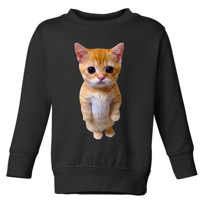 El Gato Meme Sad Crying Cat Munchkin Kitty Meme Trendy Toddler Sweatshirt