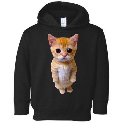 El Gato Meme Sad Crying Cat Munchkin Kitty Meme Trendy Toddler Hoodie