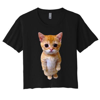 El Gato Meme Sad Crying Cat Munchkin Kitty Meme Trendy Crop Top