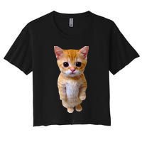 El Gato Meme Sad Crying Cat Munchkin Kitty Meme Trendy Crop Top