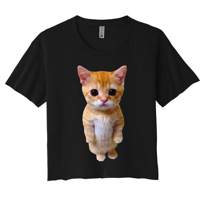 El Gato Meme Sad Crying Cat Munchkin Kitty Meme Trendy Crop Top