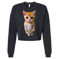 El Gato Meme Sad Crying Cat Munchkin Kitty Meme Trendy Cropped Pullover Crew