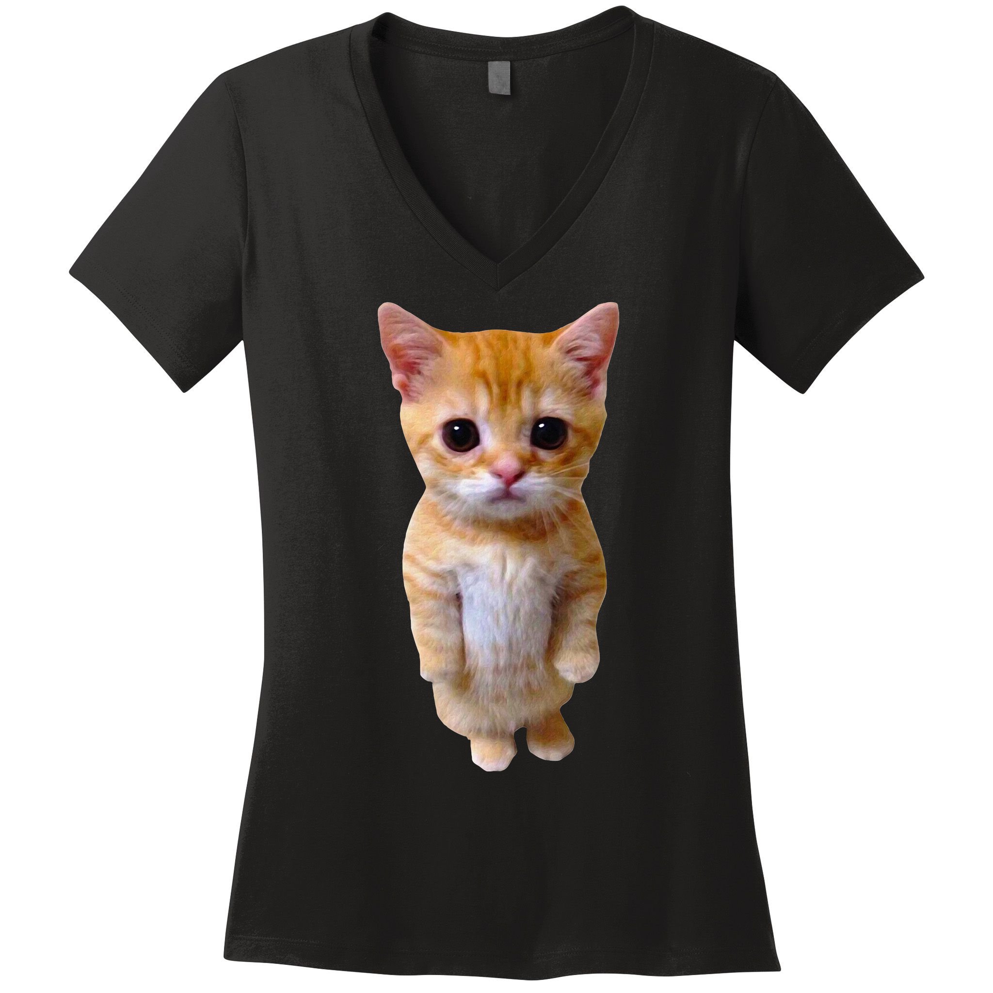 El Gato Meme Sad Crying Cat Munchkin Kitty Meme Trendy Women's V-Neck T-Shirt
