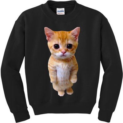 El Gato Meme Sad Crying Cat Munchkin Kitty Meme Trendy Kids Sweatshirt