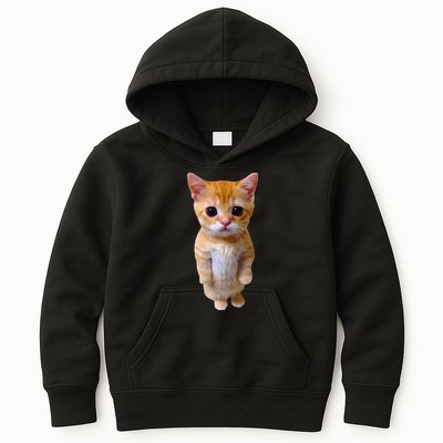 El Gato Meme Sad Crying Cat Munchkin Kitty Meme Trendy Kids Hoodie
