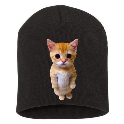 El Gato Meme Sad Crying Cat Munchkin Kitty Meme Trendy Short Acrylic Beanie
