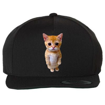 El Gato Meme Sad Crying Cat Munchkin Kitty Meme Trendy Wool Snapback Cap