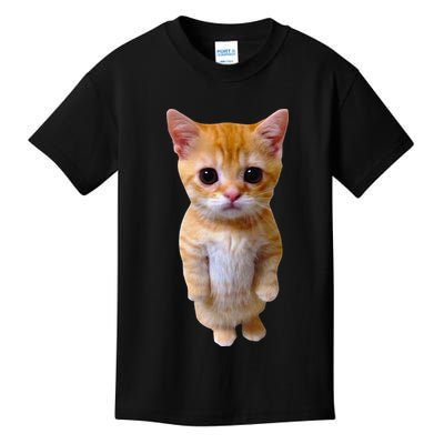 El Gato Meme Sad Crying Cat Munchkin Kitty Meme Trendy Kids T-Shirt
