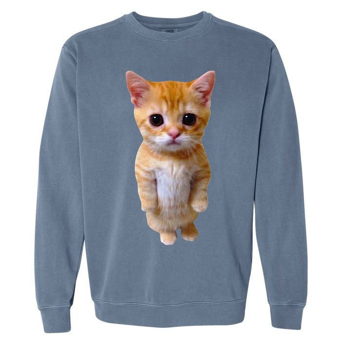 El Gato Meme Sad Crying Cat Munchkin Kitty Meme Trendy Garment-Dyed Sweatshirt