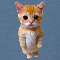 El Gato Meme Sad Crying Cat Munchkin Kitty Meme Trendy Garment-Dyed Sweatshirt