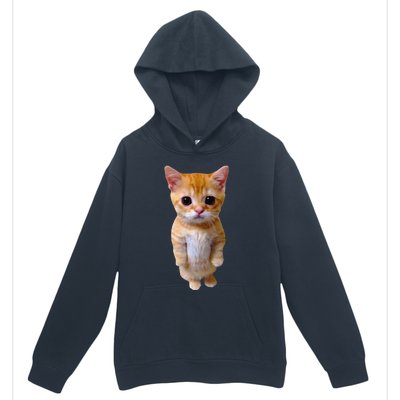 El Gato Meme Sad Crying Cat Munchkin Kitty Meme Trendy Urban Pullover Hoodie