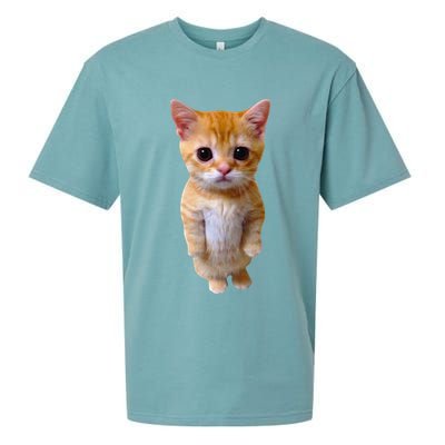 El Gato Meme Sad Crying Cat Munchkin Kitty Meme Trendy Sueded Cloud Jersey T-Shirt