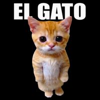 El Gato Meme Sad Crying Cat Munchkin Kitty Meme Trendy Button
