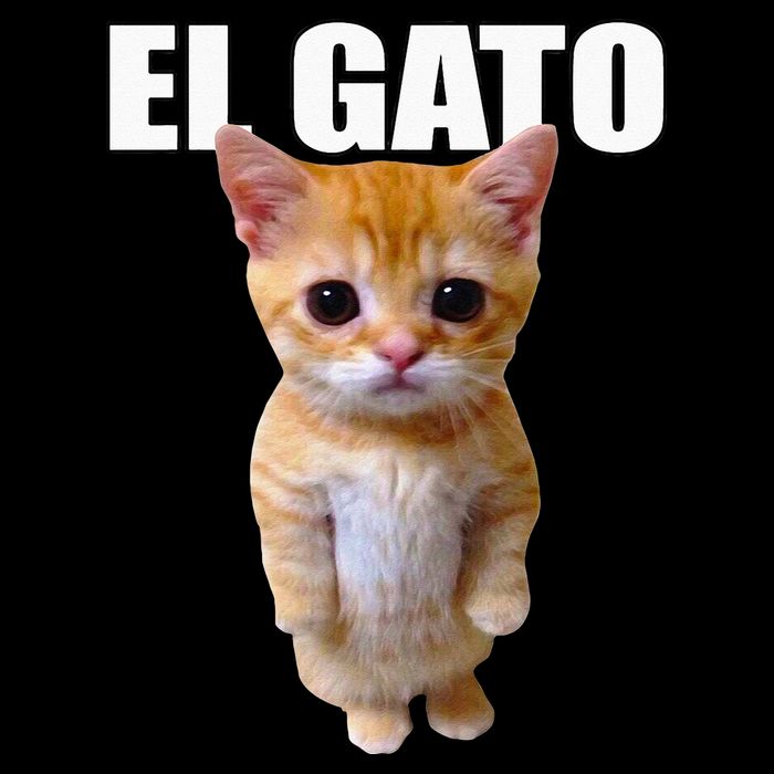 El Gato Meme Sad Crying Cat Munchkin Kitty Meme Trendy Button