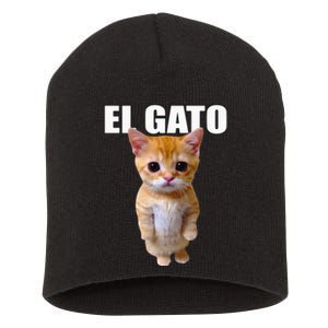 El Gato Meme Sad Crying Cat Munchkin Kitty Meme Trendy Short Acrylic Beanie