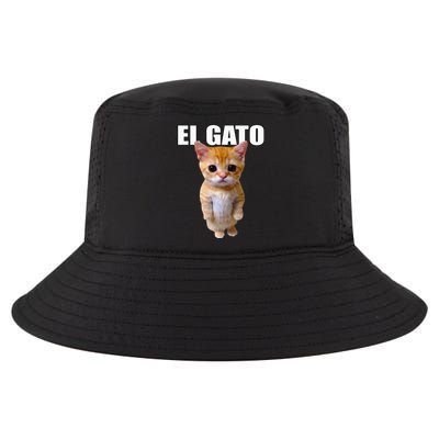 El Gato Meme Sad Crying Cat Munchkin Kitty Meme Trendy Cool Comfort Performance Bucket Hat