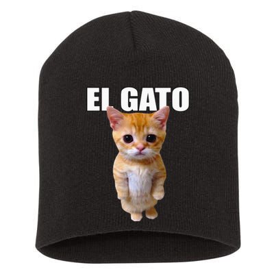 El Gato Meme Sad Crying Cat Munchkin Kitty Meme Trendy Short Acrylic Beanie