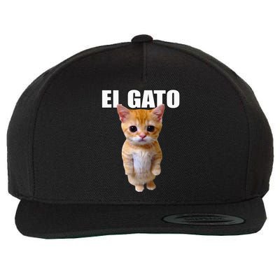 El Gato Meme Sad Crying Cat Munchkin Kitty Meme Trendy Wool Snapback Cap