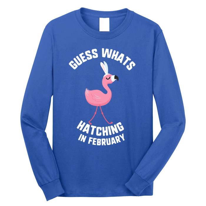 Easter Guess What Hatching In February Flamingo Gift Long Sleeve Shirt