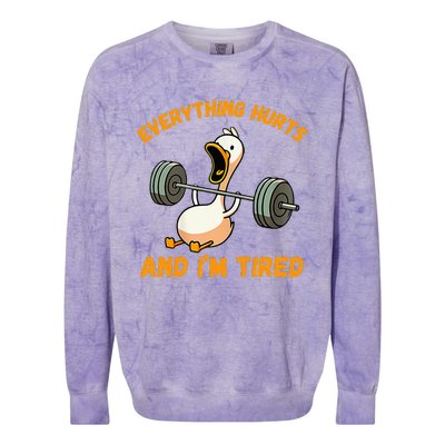 Everything Hurts And IM Tired Duck Funny Colorblast Crewneck Sweatshirt