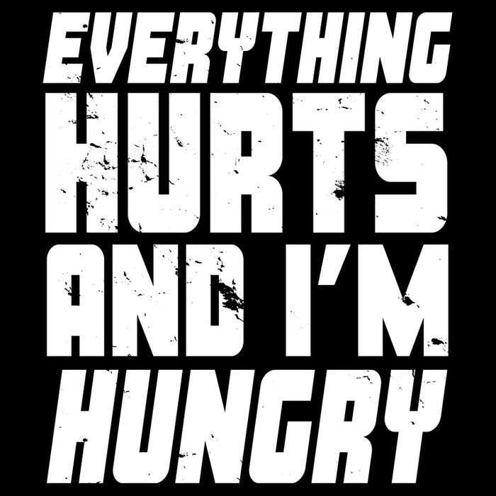 Everything Hurts And Im Hungry Funny USA-Made Doggie Bandana