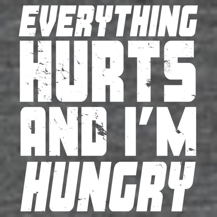 Everything Hurts And Im Hungry Funny Premium T-Shirt