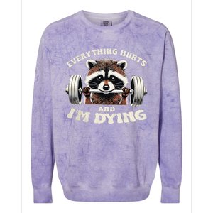 Everything Hurts And IM Dying Funny Racoon Humor Sarcastic Colorblast Crewneck Sweatshirt