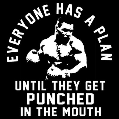Everyone Has A Plan Until They Get Punched In The Mouth T-Shirt